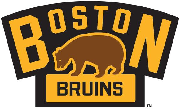 Boston Bruins 2016 Event Logo iron on heat transfer
